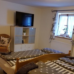 Schlafzimmer mit TV - Ferienwohnung Holzhey