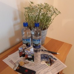 Willkommen in unserer Ferienwohnung