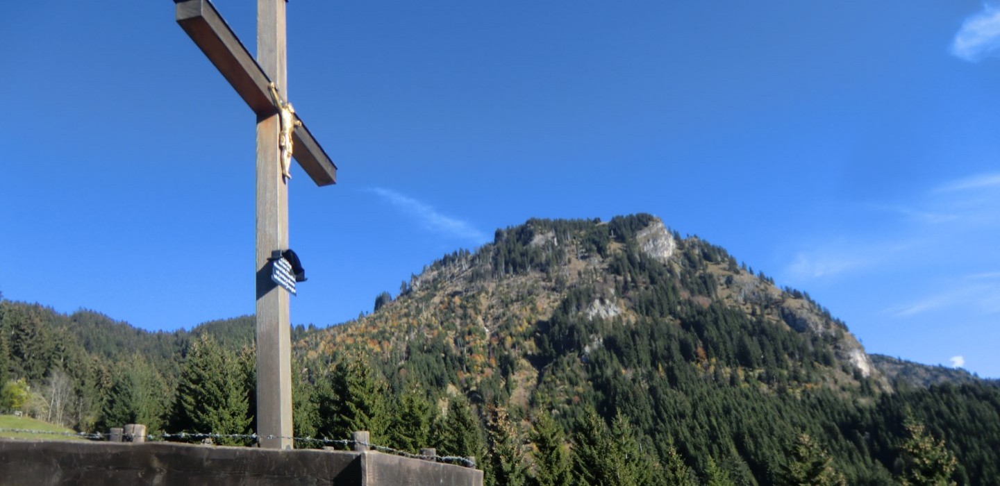 Seele baumeln lassen